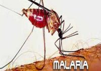 मलेरिया विभाग का अभियान चल रहा, लोगों को पता ही नहीं