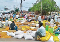 ए ग्रेड मंडी में पहली बार खुले आसमान में उपज की नीलामी