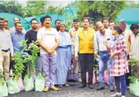 तालाब किनारे बनेगा औषधि उपवन, ट्री-गार्ड पर पौधे के गुण, संरक्षक का नाम भी लिखेंगे