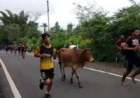 खेल दिवस पर क्रॉस कंट्री दौड़ बनी मजाक