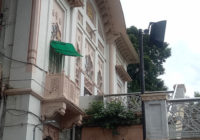 कोठी महल की दीवारों को खोखला कर रहे पौधे