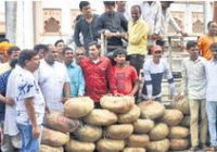 तीन टन मावा लेकर पहुंचे व्यापारी, बाेले- सैंपल ले लाे तीन टन मावा लेकर पहुंचे व्यापारी, बाेले- सैंपल ले लाे