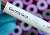 एमपी में कोरोना वायरस की एंट्री: दो संदिग्ध मरीज मिले, 14 दिन पहले चीन से लौटा था युवक एमपी में कोरोना वायरस की एंट्री: दो संदिग्ध मरीज मिले, 14 दिन पहले चीन से लौटा था युवक