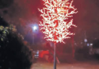 उज्जैन / सकारात्मक वातावरण बनाने के लिए पहल, स्मार्ट सिटी शहर में लगाएगी डेकोरेटिव लाइटिंग ट्री उज्जैन / सकारात्मक वातावरण बनाने के लिए पहल, स्मार्ट सिटी शहर में लगाएगी डेकोरेटिव लाइटिंग ट्री