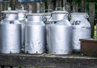 उज्जैन:पुलिस-जिला प्रशासन-नगर निगम में सामंजस्य का अभाव दिखा…