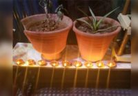 कोरोना के अंधकार को दूर करने जल उठे हजारों दीप कोरोना के अंधकार को दूर करने जल उठे हजारों दीप