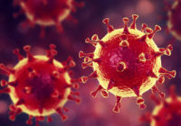 उज्जैन :471 सेम्पल रिपोर्ट में मिले 5 नए कोरोना पॉजिटीव