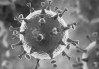 उज्जैन जिले में मिले 13 नए कोरोना पॉजिटीव