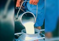 किसानों के 12 करोड़ अटके, इसे चुकाने के लिए लोन लेगा दुग्ध संघ किसानों के 12 करोड़ अटके, इसे चुकाने के लिए लोन लेगा दुग्ध संघ
