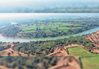 कुड़ाना के जंगल में देखा जा रहा जंगली जानवर