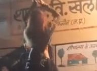 मान के कार्यक्रम में DJ की धुन पर लगे ठुमके