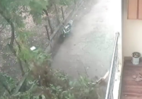 तेज आंधी-बारिश के बीच पेड़ गिरा, युवक बाल-बाल बचा; घटना का सीसीटीवी फुटेज वायरल!