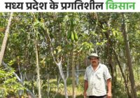 उज्जैन के किसान ईश्वर सिंह ने जैविक खेती से रचा इतिहास, 2.5 बीघा ज़मीन से सालाना कमा रहे ₹12 लाख: खट्टी छाछ, जीवामृत और राख से फसलें लहलहाईं, बाजार से भी मिले बेहतर दाम!