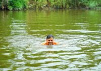 सावन में सीएम मोहन यादव का खास अंदाज़: शिप्रा में तैरते दिखे डॉ यादव, तैराक भी रह गए पीछे!