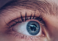 25 अगस्त से 8 सितम्बर तक मनाया जाएगा राष्ट्रीय नेत्रदान पखवाड़ा, उज्जैन CMHO ने की लोगों से की अपील; डॉ. पटेल बोले— एक नेत्रदान से दो लोगों को रोशनी मिलती है!