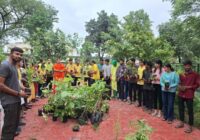 विक्रम विश्वविद्यालय के केमिस्ट्री विभाग परिसर में बनी आयुर्वेद वाटिका: 108 औषधीय पौधों का किया गया रोपण, हर पौधे पर लिखा होगा किस रोग में है फायदेमंद!