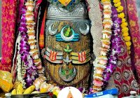 महाकाल में भस्म आरती: पंचामृत अभिषेक के बाद राजा स्वरूप में दिए दर्शन, गूंजा जयकारा