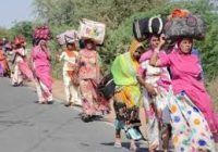 पंचकोशी यात्रा 12 अप्रैल से: 2 दिन पहले ही उज्जैन पहुंचने लगे श्रद्धालु, हर साल 2-3 लाख की भागीदारी