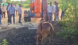 50 फीट गहरे कुएं में गिरी गर्भवती गाय: 2 घंटे के रेस्क्यू के बाद सुरक्षित निकाला, ग्राम जैथल टैक की घटना; पुलिस-ग्रामीणों ने मिलकर बचाया
