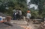 उज्जैन में दिव्यांग दंपती ने मांगी सुरक्षा, बोले- FIR के बाद भी आरोपी बेखौफ घूम रहे; कलेक्टर जनसुनवाई में लगाई न्याय की गुहार